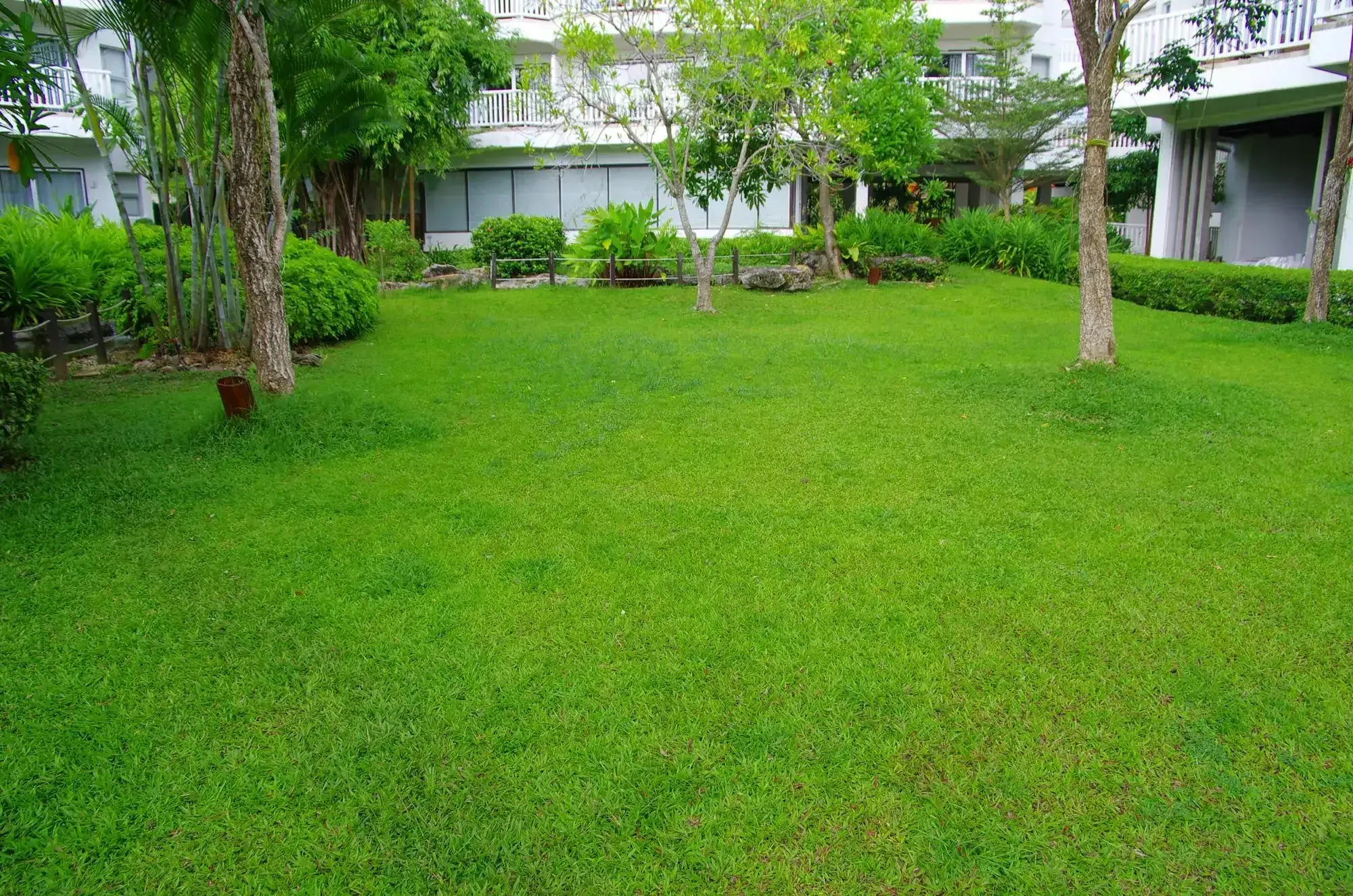 Lush green lawn bordered by trees and hedges in front of a residential building
