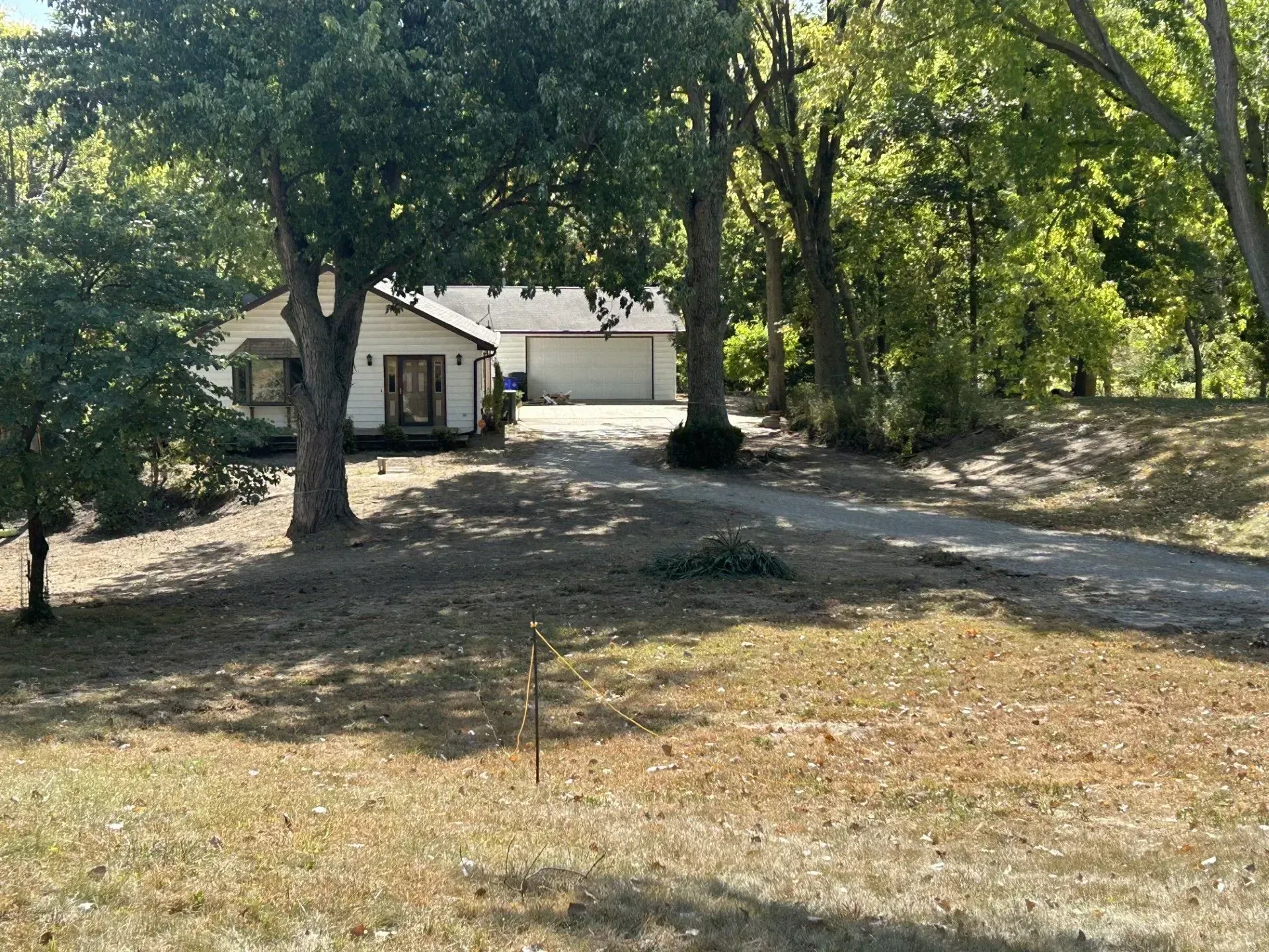 A house with a driveway is nestled among trees on a sunny day.